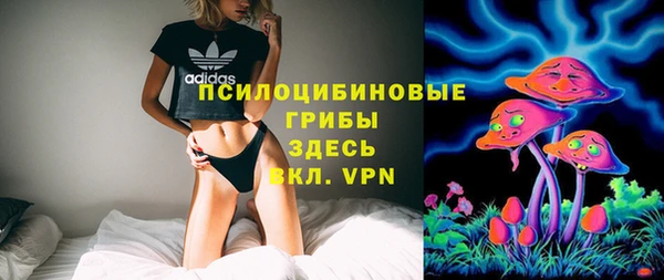 apvp Россошь