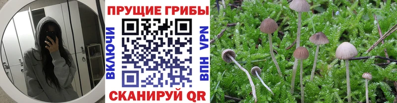 Псилоцибиновые грибы мухоморы Шатура